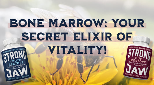 Bone Marrow: Your Secret Elixir of Vitality!